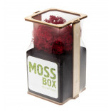 Интерьерный мох MossBox black red cube