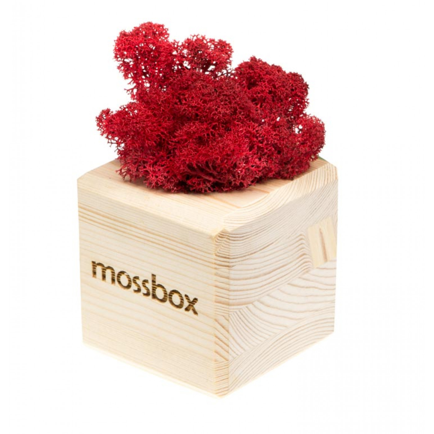Интерьерный мох MossBox wooden red cube