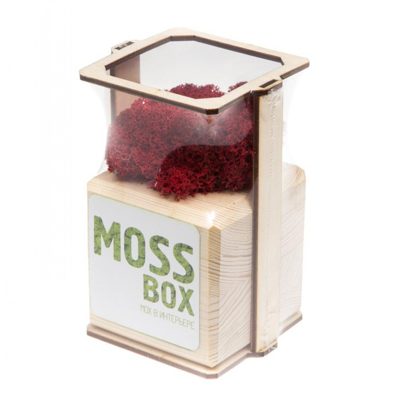 Интерьерный мох MossBox wooden red cube Интерьерный мох MossBox wooden red cube