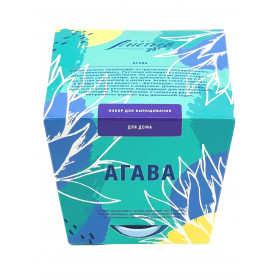 Набор для выращивания растений  Агава