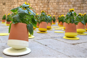 Вращающиеся горшки