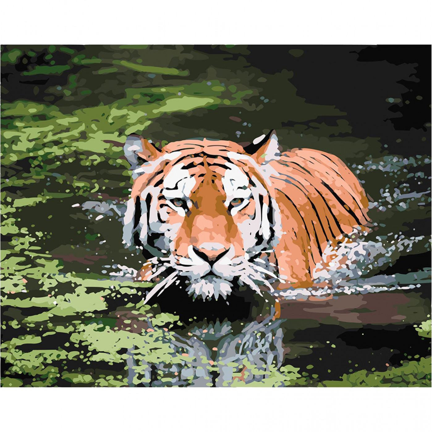 Картина по номерам Тигр в воде
