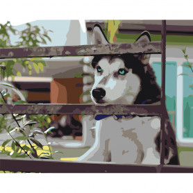 Картина по номерам Хаски ждет
