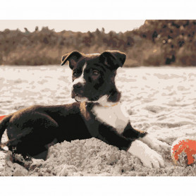 Картина по номерам Щенок с мячиком