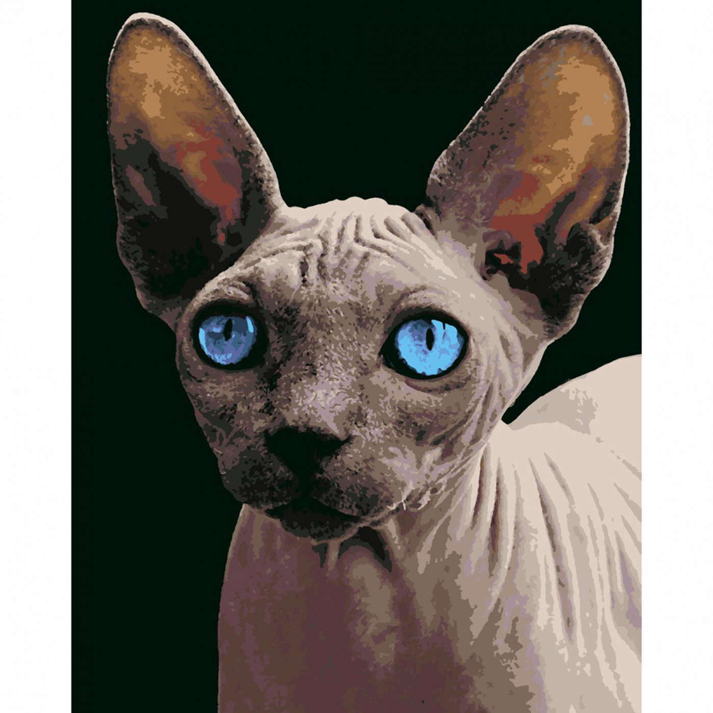 Картина по номерам Сфинкс с голубыми глазами