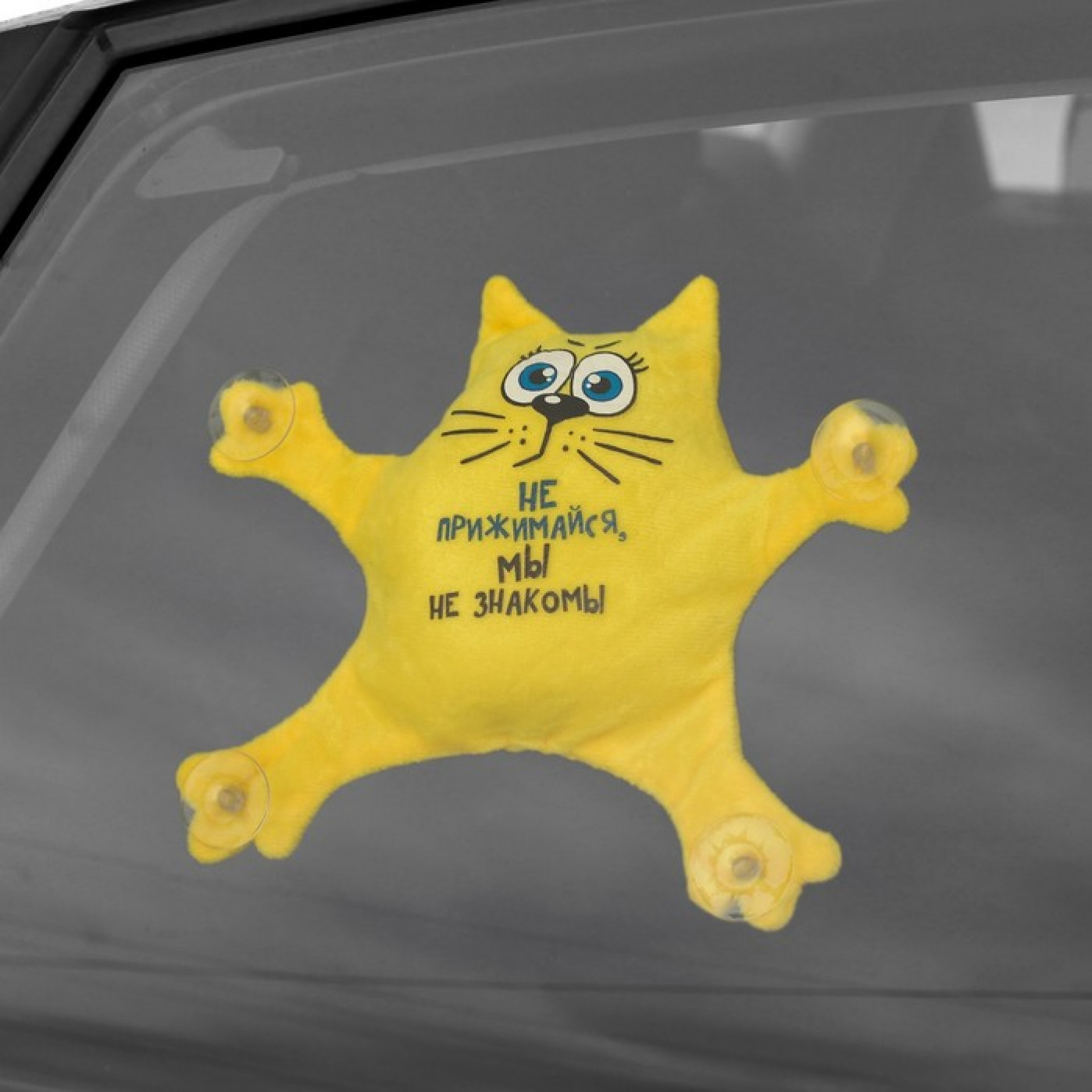 Веселый кот игрушки в орле. Игрушки на присосках в машину. Кот на присосках в машину. Мягкая игрушка на присосках в машину. Кот на присосках на стекло авто.