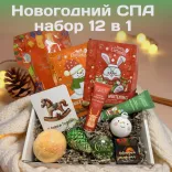 Подарочный новогодний набор для девушки 12 в 1