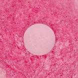 Подарочный уходовый новогодний бокс для нее - 14 в 1