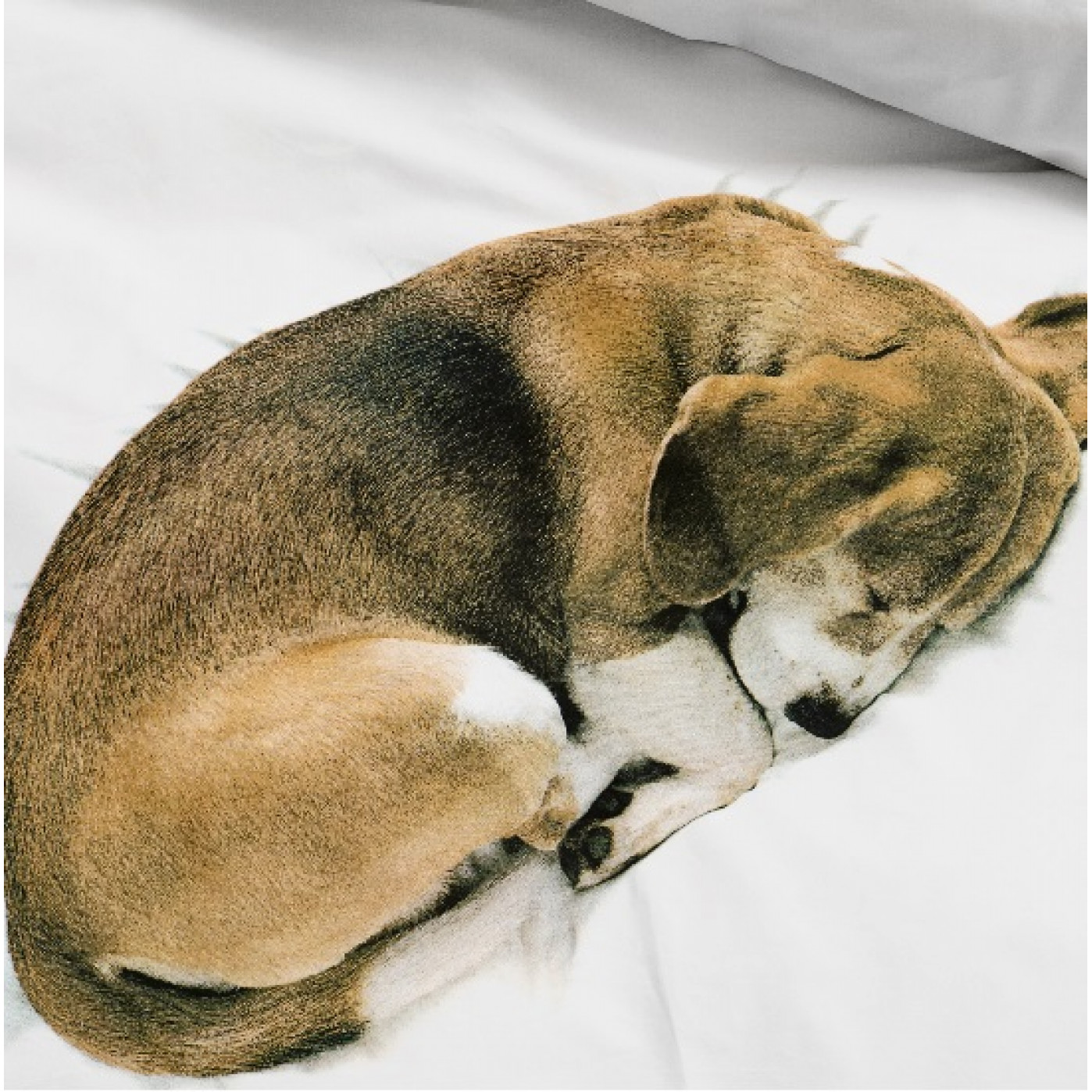 Почему животные спят клубком. Спящие собаки. Спящие щенки.