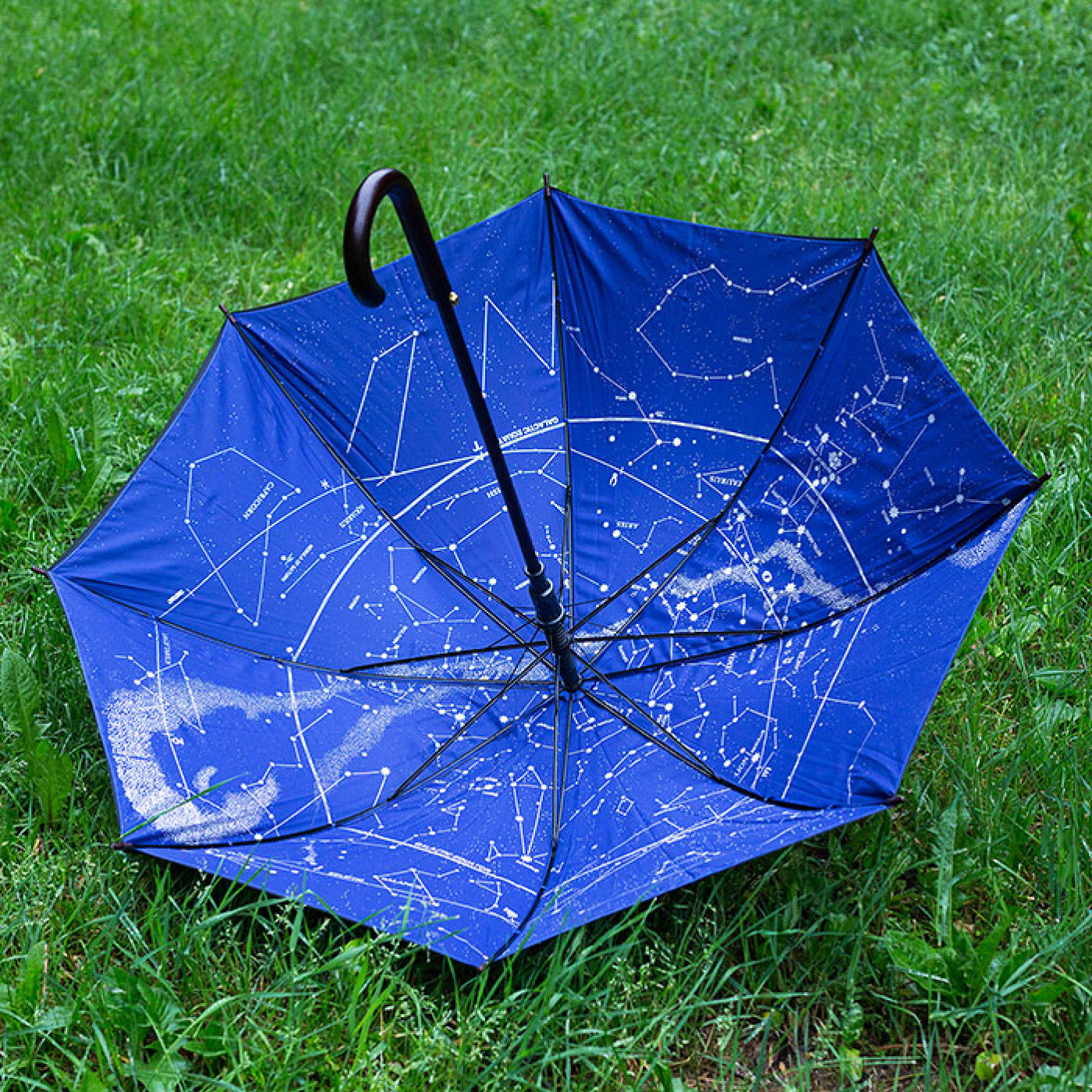 Подарить зонтик. Зонтик. Зонт созвездия. Зонт трость созвездия. Зонтик в подарок.