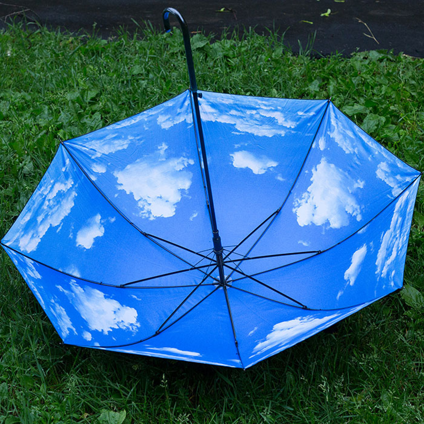 Зонтик раскрылся. Зонтик. Раскрытый зонт. Зонтик внутри. Зонт внутри.