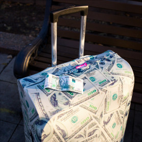 Чехол для чемодана Suitsuit - Dollar-2