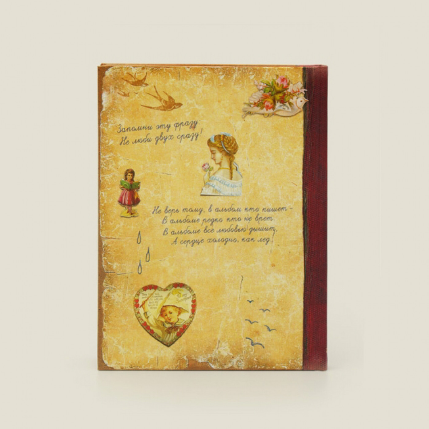 Записная книжка Девичий альбом