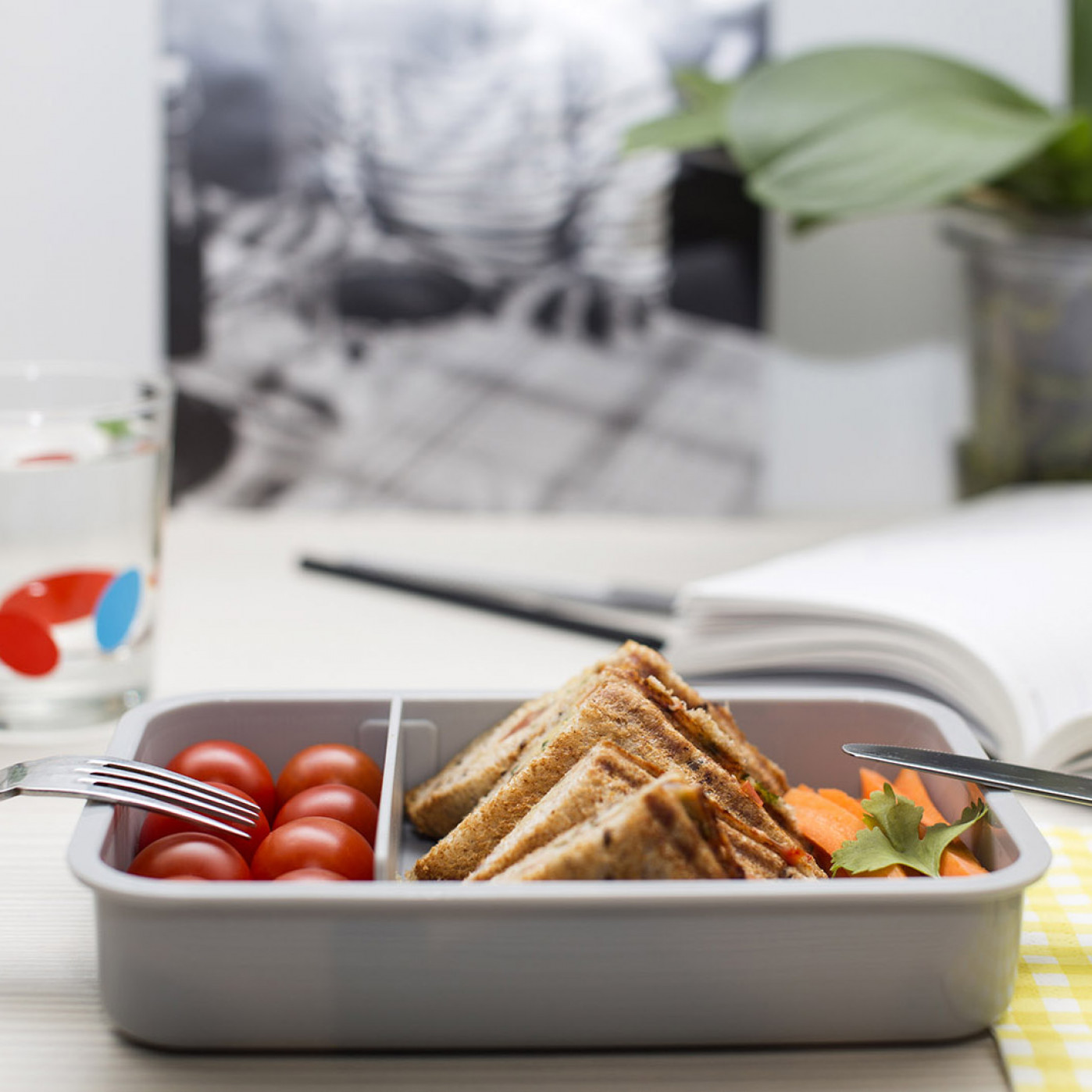 Ланч-бокс Enjoy Life Bento Ланч-бокс Enjoy Life Bento
