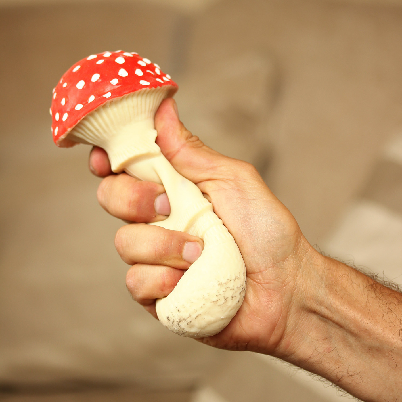 Mushroom Toy Recall