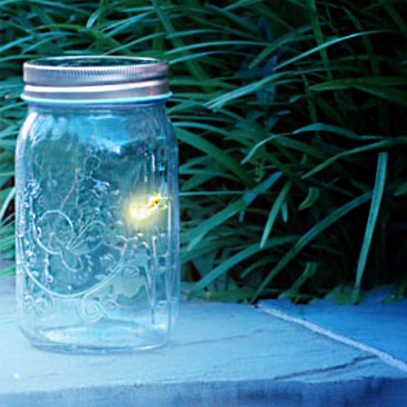 Светлячок в банке Firefly 