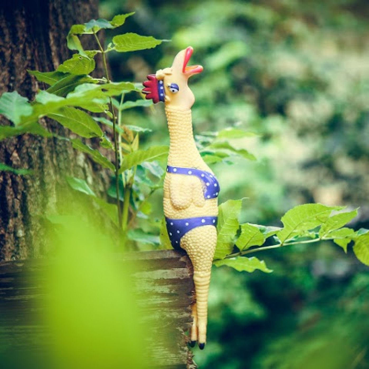 Кричащий антистресс Цыпа в Купальнике