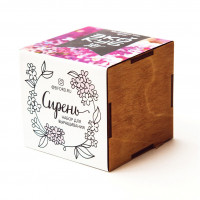 Экокуб Lite Сирень