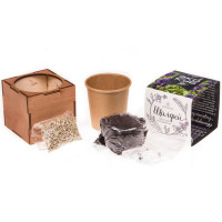 Экокуб Lite Шалфей-2