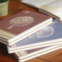 Креативбук Nature