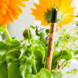 Растущие грифельные карандаши Цветущий Сад