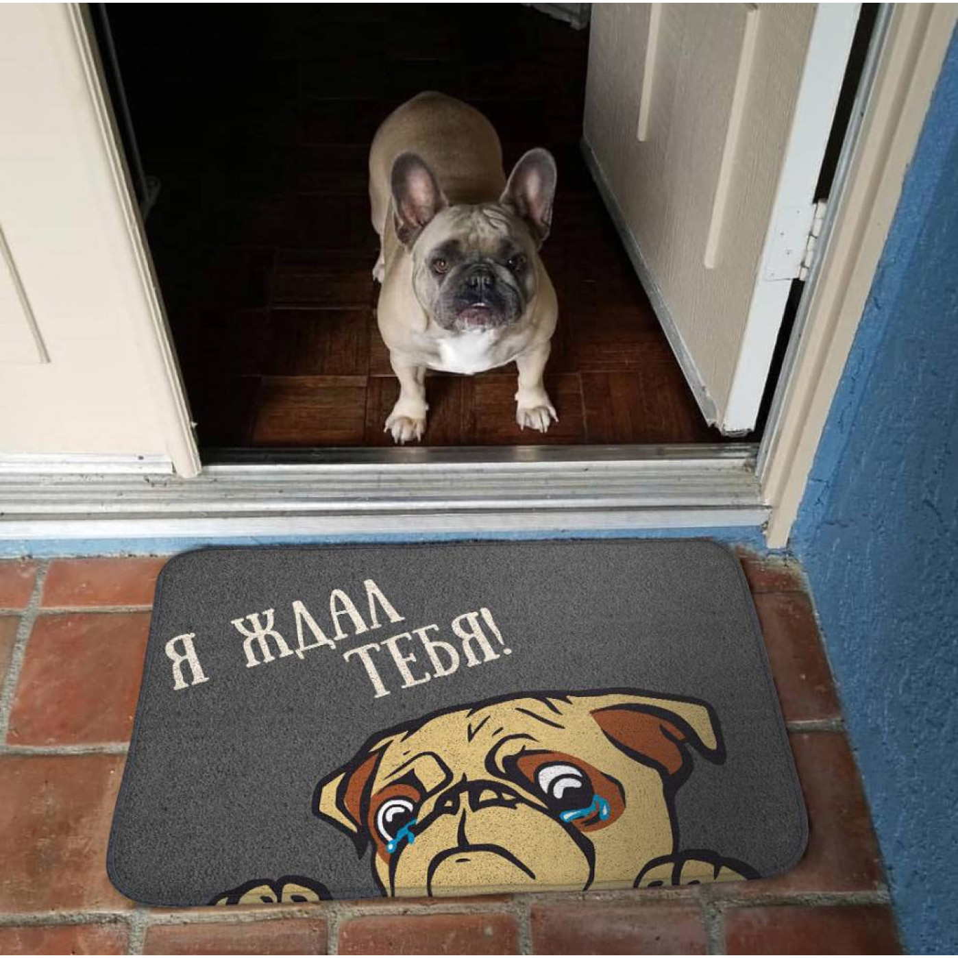 Коврик Придверный Я ждал тебя