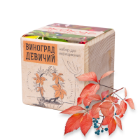 Экокуб Виноград девичий