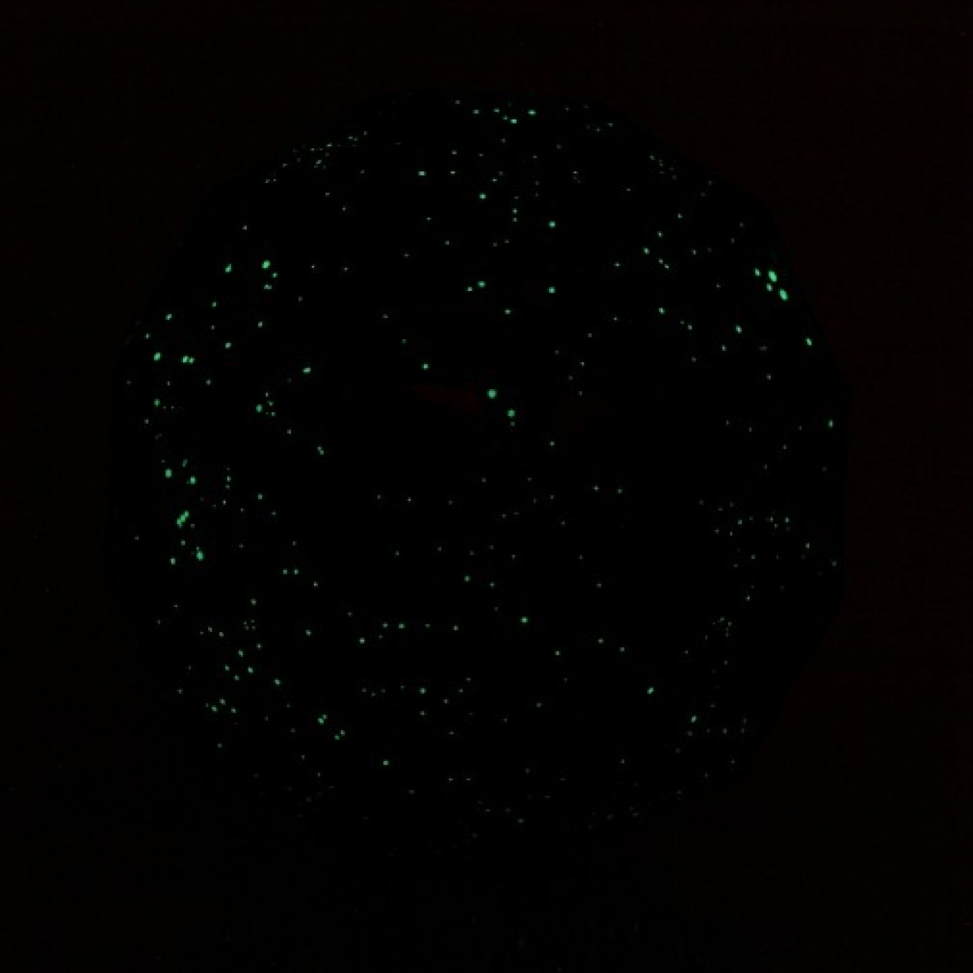 Cветящийся глобус звездного неба Star light Globe