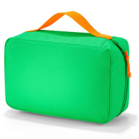 Сумка-органайзер babycase summergreen