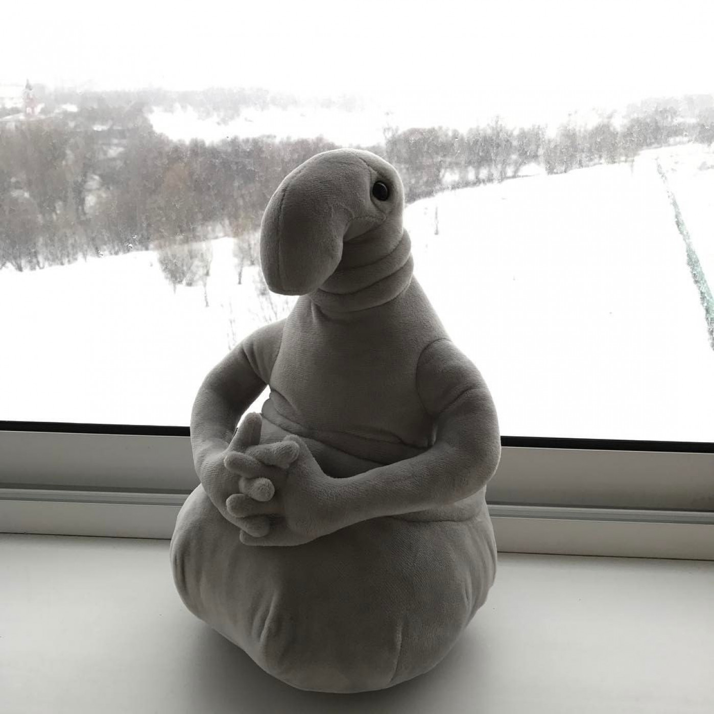Ждун с цветами