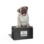 Бумага для заметок Dog in a box