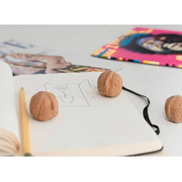 Ластик Walnut в виде грецкого ореха