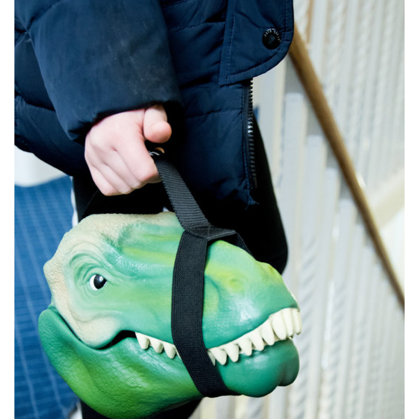 Бокс для хранения Dinosaur Бокс для хранения Dinosaur