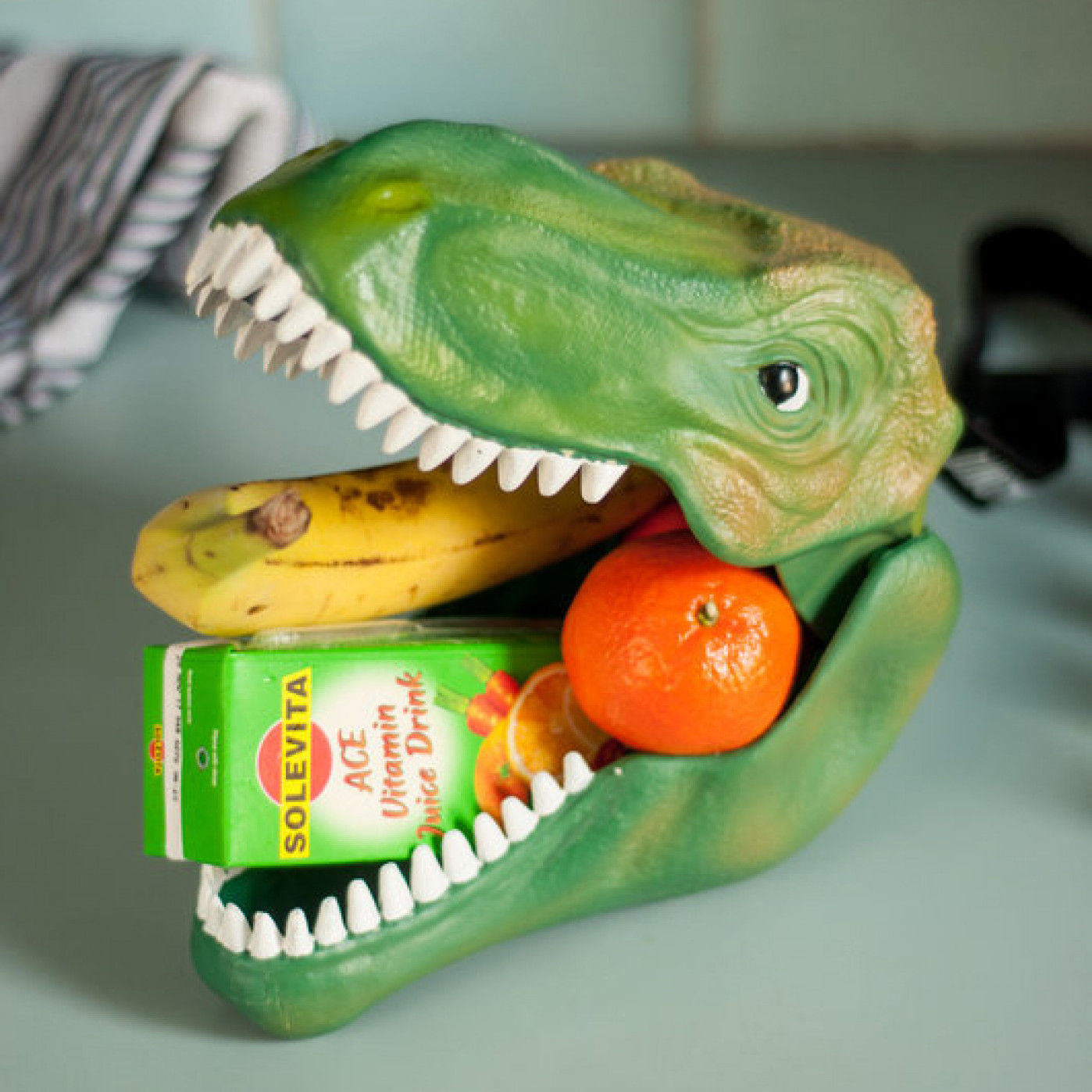 Бокс для хранения Dinosaur Бокс для хранения Dinosaur