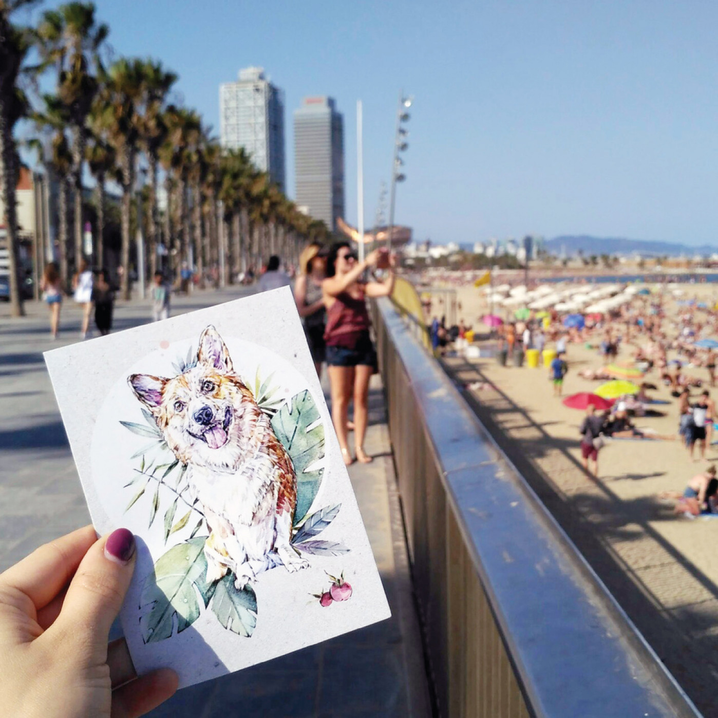 Открытка Корги Открытка Корги