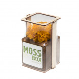 Интерьерный мох MossBox Fire yellow cube