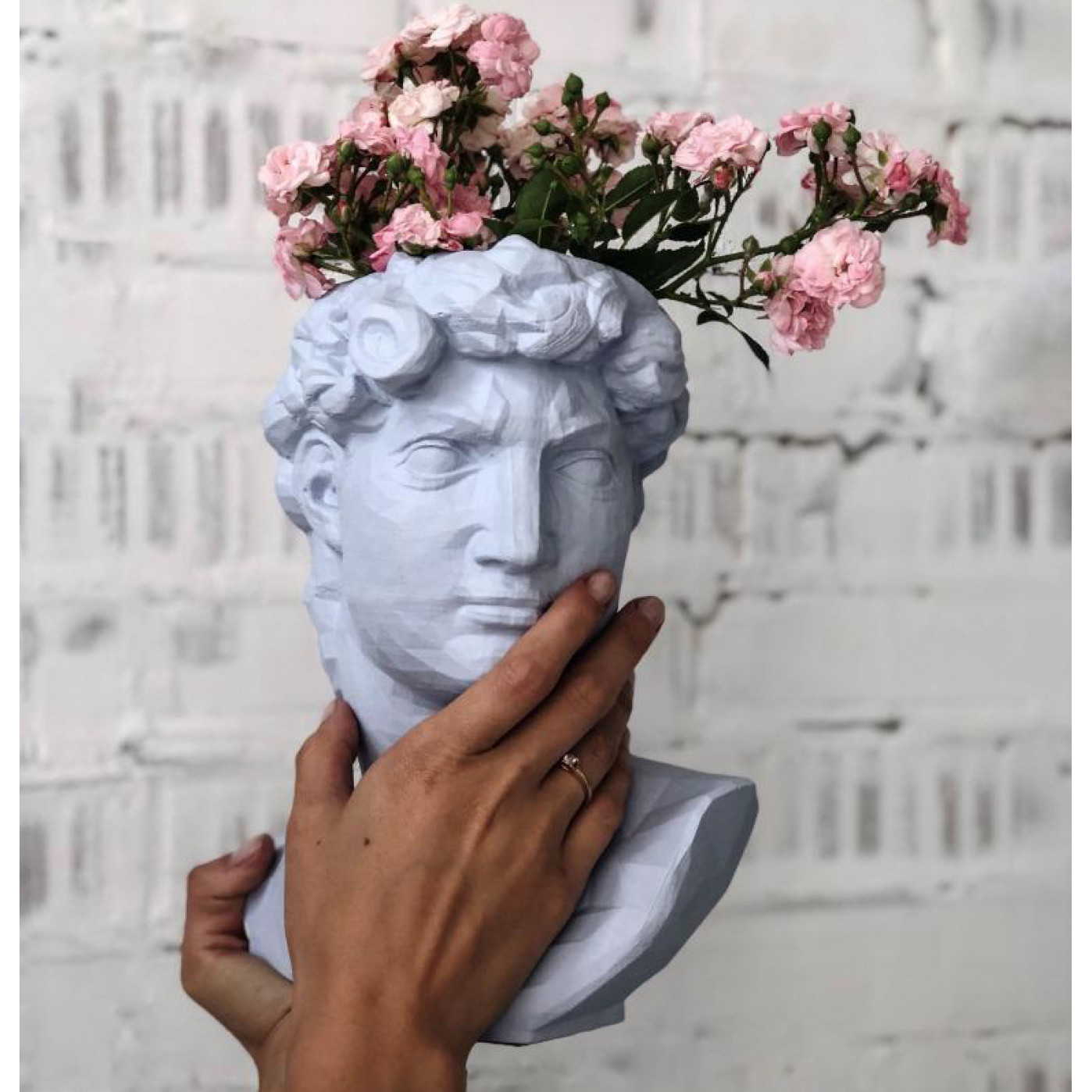 Голова Давида с цветами