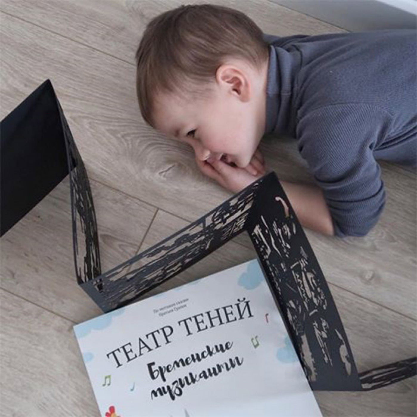 Книга Театр Теней Бременские Музыканты Книга Театр Теней Бременские Музыканты