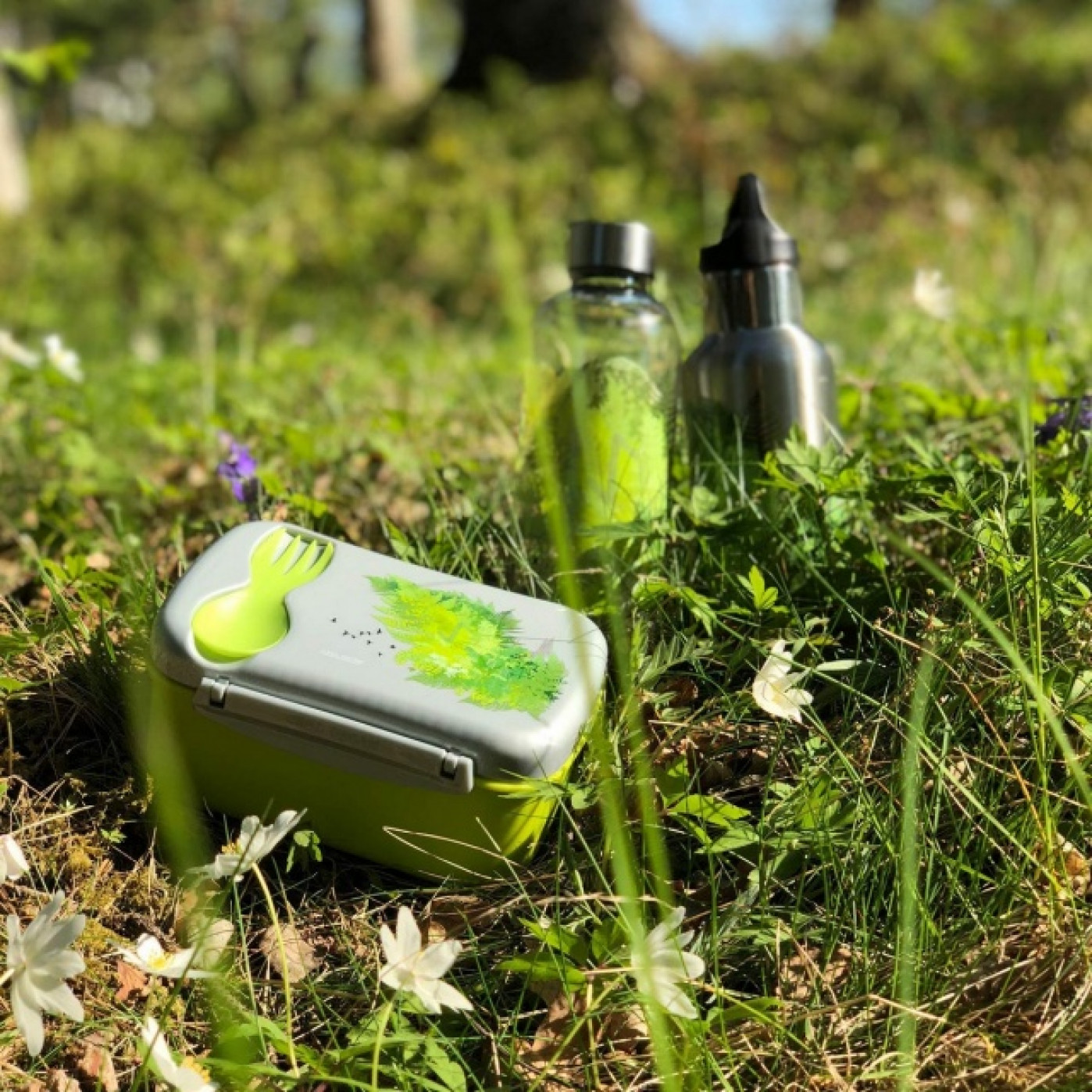 Ланч-бокс с охлаждающим элементом Wisdom N'ice Box