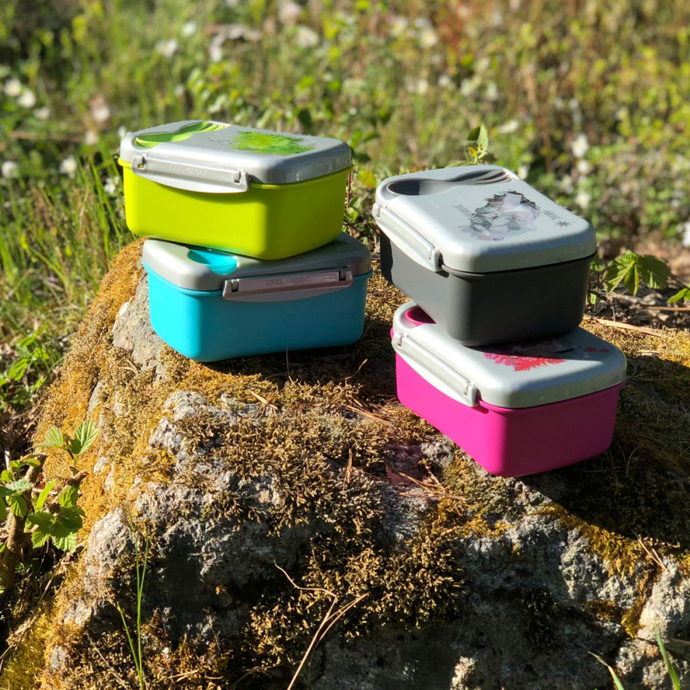 Ланч-бокс с охлаждающим элементом Wisdom N'ice Box