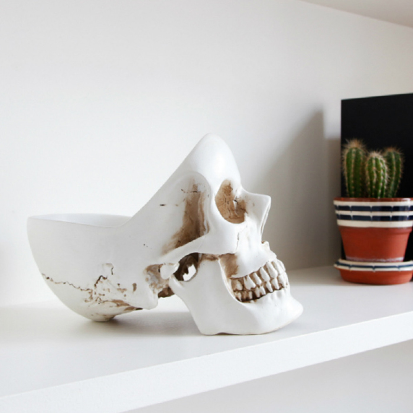 Реалистичный большой органайзер для мелочей Skull (разные цвета)