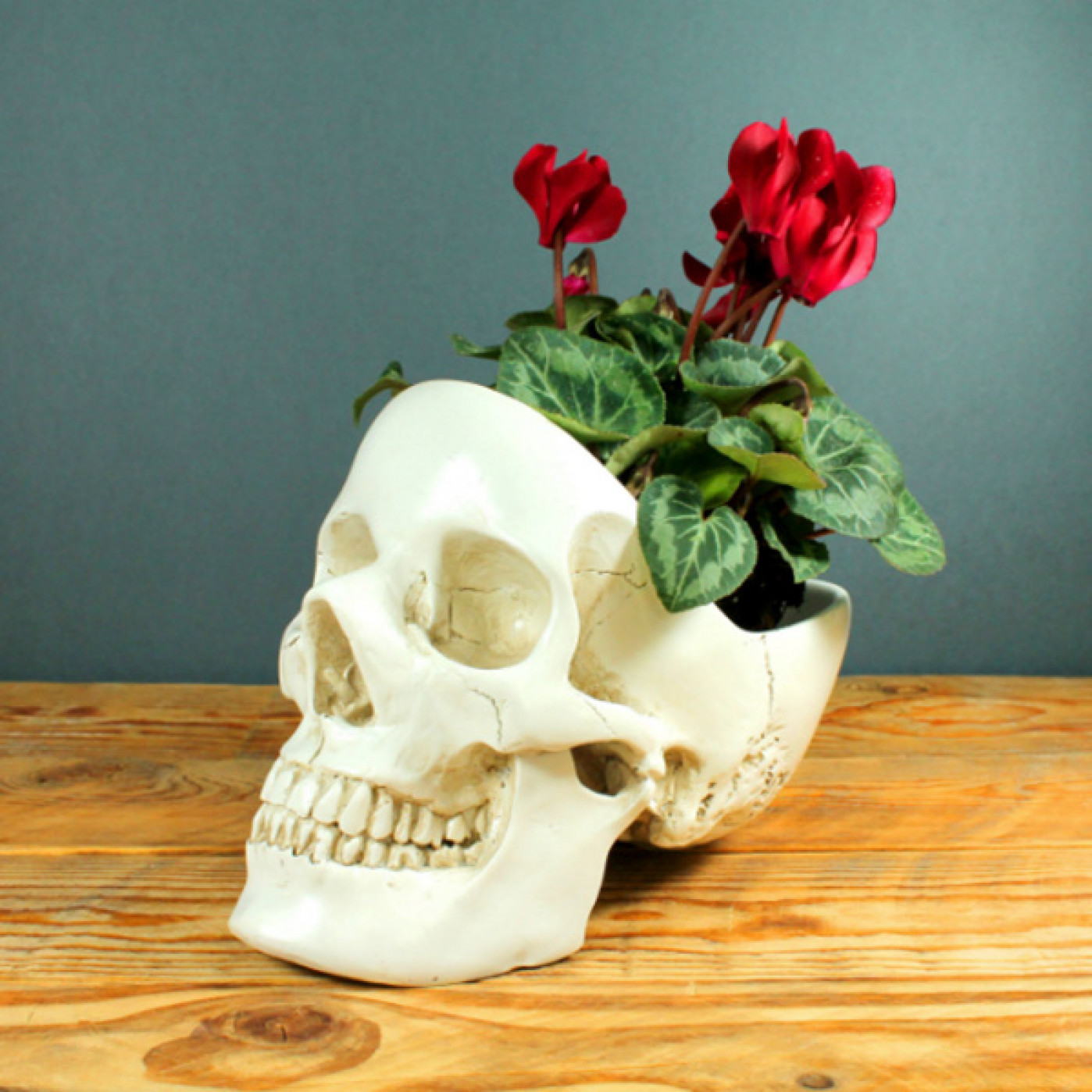 Реалистичный большой органайзер для мелочей Skull (разные цвета)