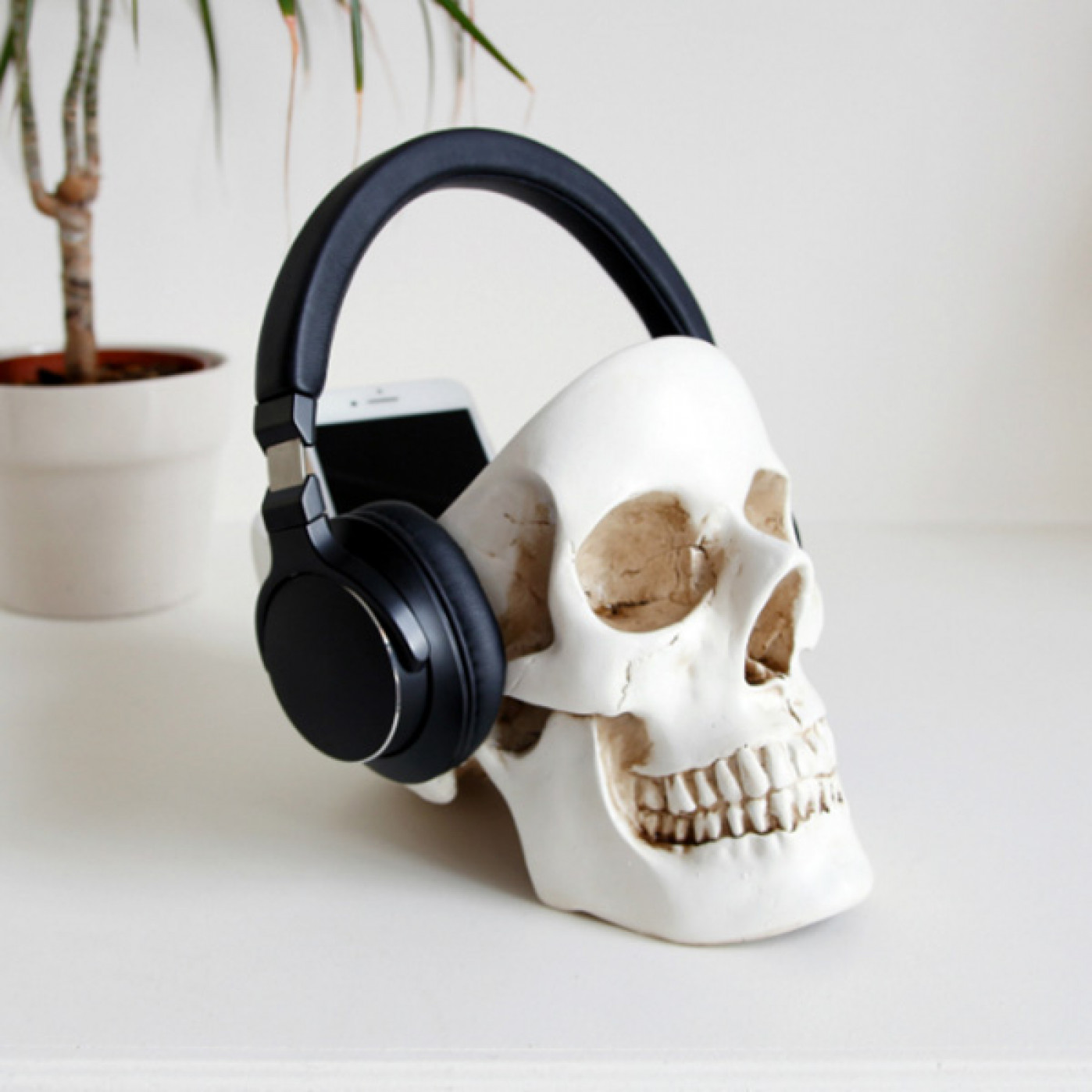 Реалистичный большой органайзер для мелочей Skull (разные цвета)