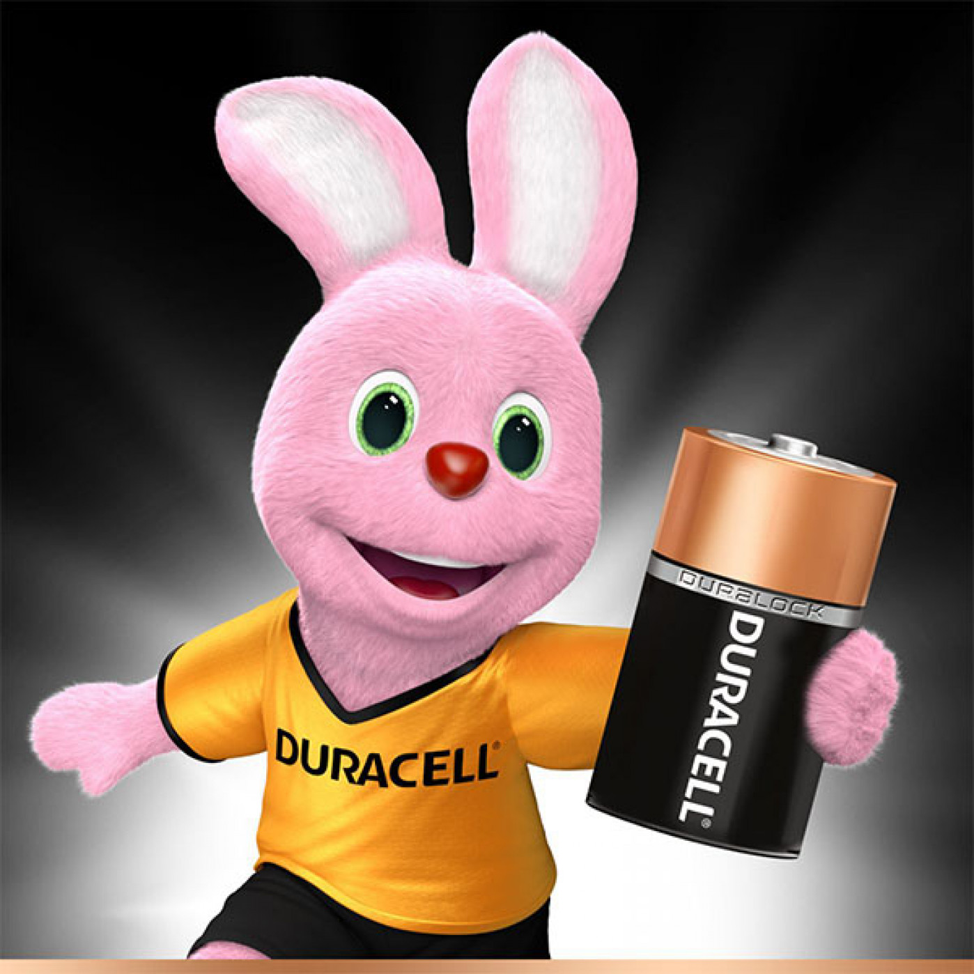 Батарейка Duracell LR20 BL2 1 шт