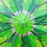 Прозрачный Зонт Листья зеленый