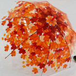 Прозрачный Зонт Листья красный