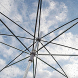 Прозрачный зонт-трость Clear