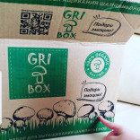 Набор для выращивания шампиньонов GriBox