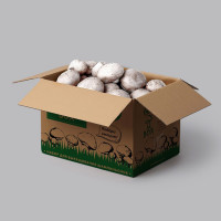 Набор для выращивания шампиньонов GriBox-2