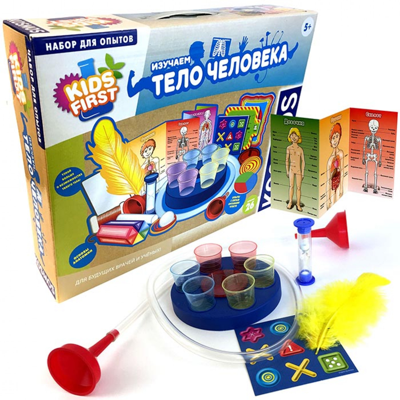 Игровой набор Изучаем тело человека Игровой набор Изучаем тело человека